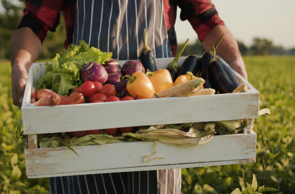 From Field to Fiesta: Unveiling Tucson’s Must-Visit Farmers Markets