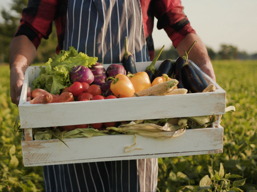 Arms holding a crate of fresh produce standing out in a field.